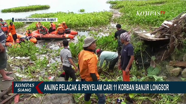 Tim SAR Terjunkan Anjing Pelacak dan Penyelam Cari 11 Korban Banjir Longsor Humbahas Sumut