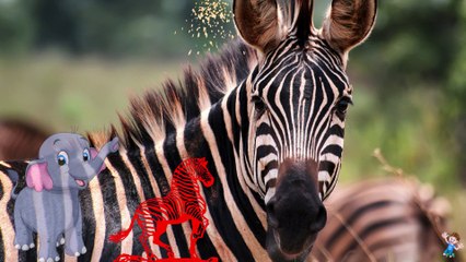 Learn Alphabet Z with Shaaani Kids Cartoon TV