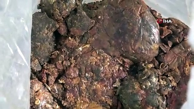 Bal arılarının ürettiği Propolis ayrıştırılıyor