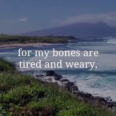 God always with you #godmessage #godsays