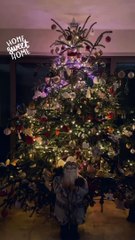 Με φουντωτά κλαριά και πολλά στολίδια: Το υπέρλαμπρο δέντρο της Αθηνάς Οικονομάκου και του Φίλιππου Μιχόπουλου