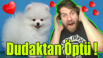  Köpeğim Beni Dudaktan Öptü !!! ❤️ - Drone vs Köpeğim 