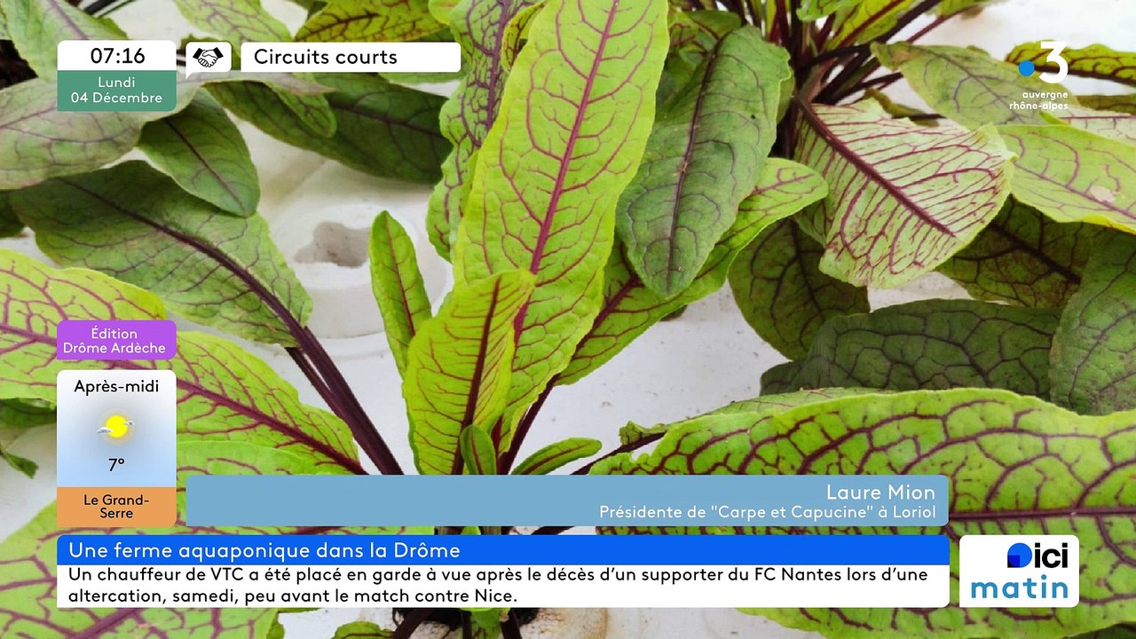 A  Loriol-sur-Drôme,"Carpe et Capucine", truites, salades, légumes, herbes aromatiques cultivés en aquaponie