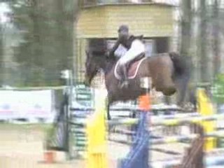 Hennebont GP Am3 120cm