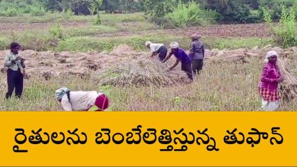 విజయనగరం: జిల్లాలో వర్షం ప్రారంభం... బెంబేలెత్తుతున్న అన్నదాత..!