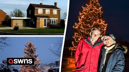 "We planted our Christmas tree in 1978 - it's now 50ft tall"