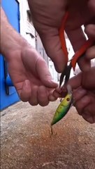 Comment retirer un hameçon enfoncé dans le doigt... ou presque