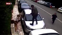 İlginç tesadüf! Köpeklerin havladığı iki farklı vatandaş aynı arabanın üzerine çıkarak kaçtı