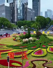 Traveling around the world