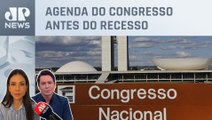 Parlamentares têm menos de 20 dias para analisar vetos presidenciais