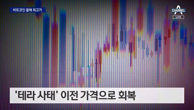 금값 최고가 찍었다…비트코인 고공행진