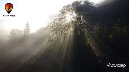 گروه طبیعت گردی سانا