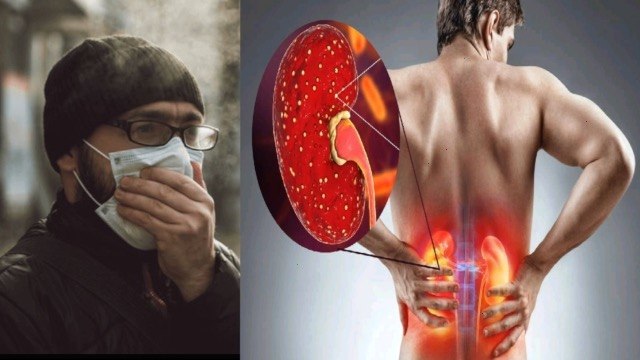 Air Pollution से Kidney Damage कैसे होती है | High Bp से लेकर Asthma Symptoms | Boldsky