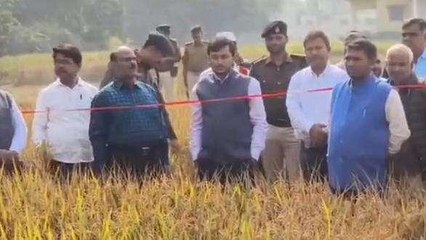 भागलपुर: डीएम ने किया धान की खेतों का मुआयना, फसल कटनी प्रयोग का लिया गया आंकड़ा