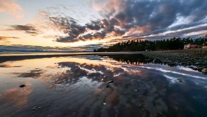 القضاء والقدر