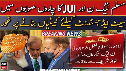 Maulana Fazlur Rehman meet Nawaz over joint election strategy, seat-adjustment