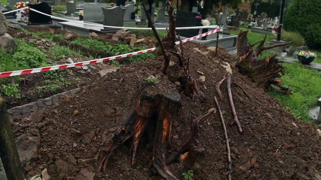 Mieszkańcy odnowili nagrobek w Dudyńcach, bezcenny pod względem artystycznym i historycznym