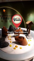 Pinglin Tea Museum, New Taipei, Taiwan