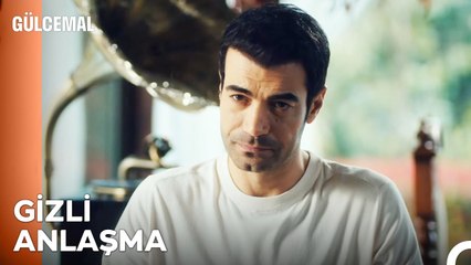 Gizli anlaşma - Gülcemal