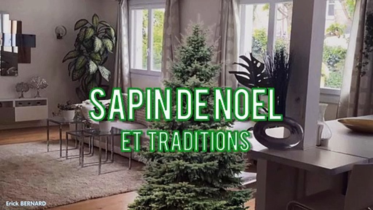 J'ais fais mon arbre de Noël
