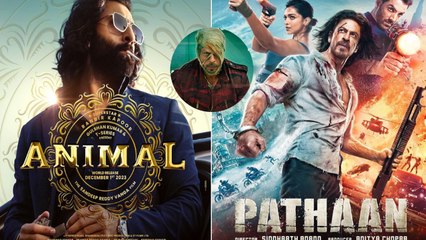 Animal Box Office Collection: Ranbir Kapoor starrer takes BO by storm, but fails to beat SRK's Jawan