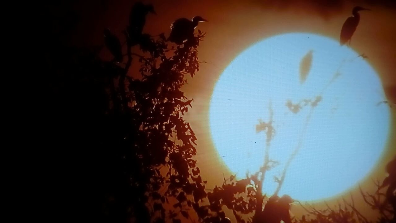 LES COWBOYS DES  MARAIS S02E03