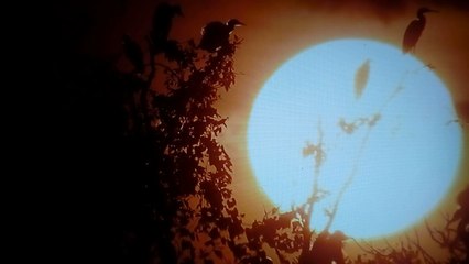 LES COWBOYS DES  MARAIS S02E03