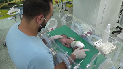 خبر سار عن الأطفال الخدج الذين نقلوا من غزة إلى مصر