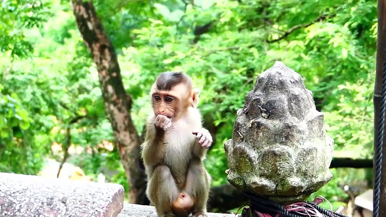 Little baby is really scared of old mommy Pinka, mother warm baby highly (720p_25fps_H264-192kbit_AAC)