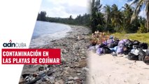 Contaminación en las playas de Cojímar