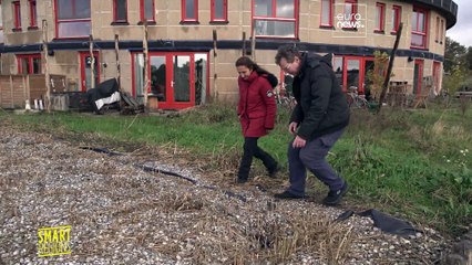 Ökodorf Boekel: Modell für grünes Wohnen in den Niederlanden