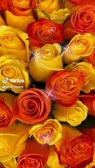 VID-20231203-WA0003