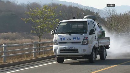 전남 고흥 오리농장에서 AI 항원 확인..."정밀검사 중" / YTN