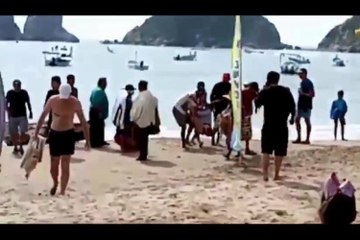 Mãe morre após salvar a filha de ataque de tubarão no México