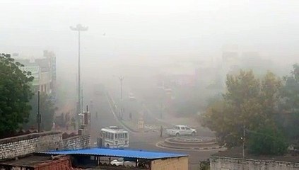 शहर में छाया कोहरा