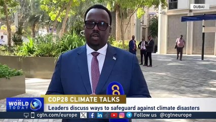 Somalia Deputy PM calls for green transition
