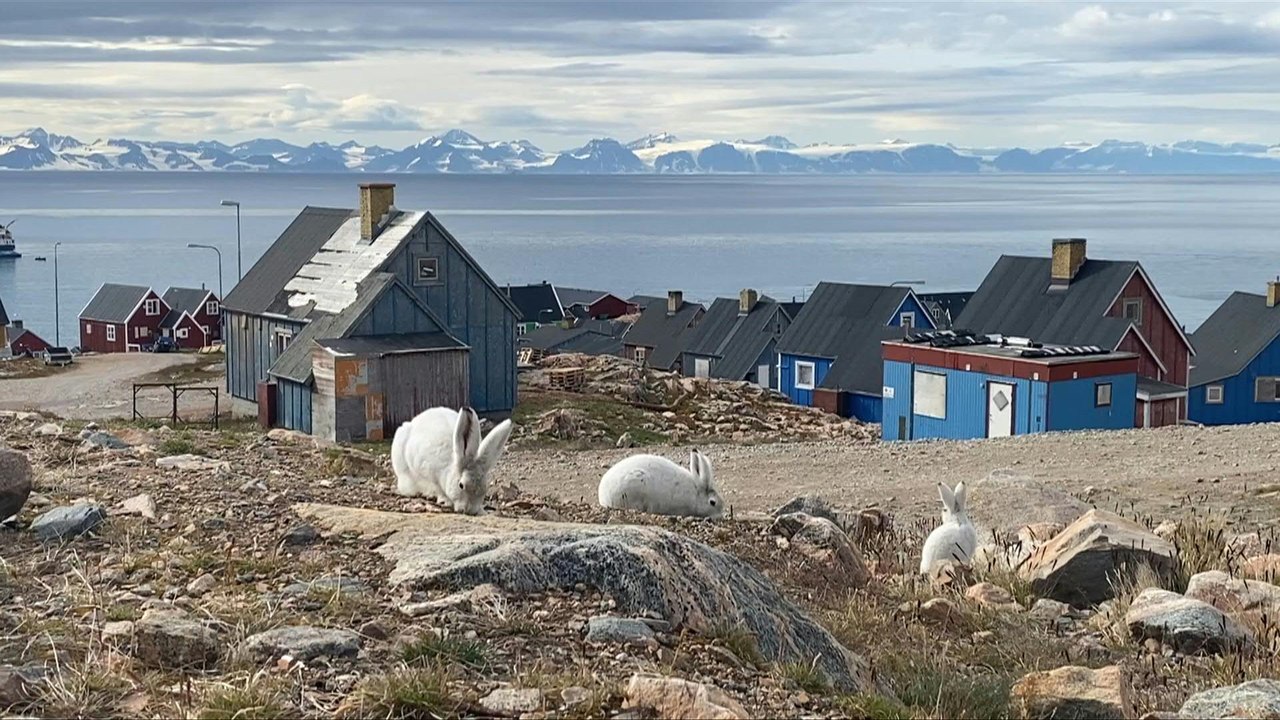 Klimawandel gefährdet indigene Bevölkerung Grönlands