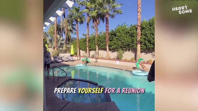 Best of Internet 2022: Heartwarming Birthday Surprises, Reunions, and Animal Rescues || #heartsome