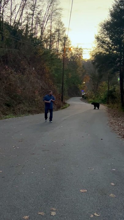 Man Unconcerned By Bear