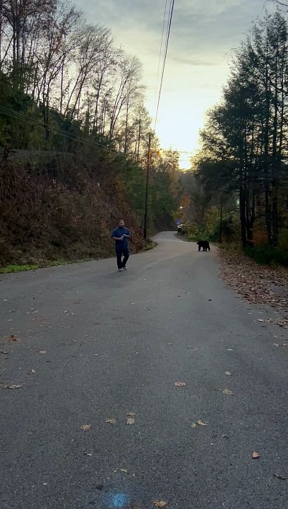 Man Unconcerned By Bear