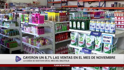 CAYERON UN 8,7% LAS VENTAS EN EL MES DE NOVIEMBRE