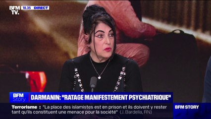 Attentat à Paris: "Je trouve facile d'indiquer qu'une profession serait responsable d'un acte dont on ne sait pas quelle est la nature réelle", réagit Marie-José Cortes (présidente du Syndicat des psychiatres des hôpitaux)