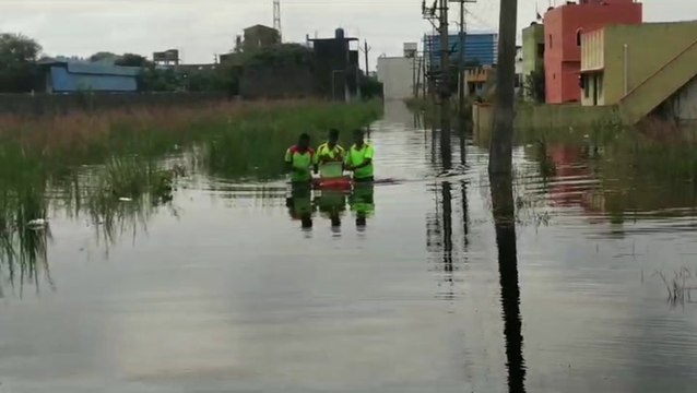 Puppies stranded in floods saved by firefighters in India