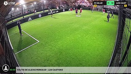 Faute de Alexis PERRAUD - LES CASTORS