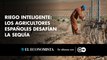 Riego inteligente: Los agricultores españoles desafían la sequía
