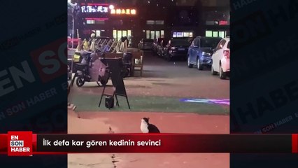 İlk defa kar gören kedinin sevinci