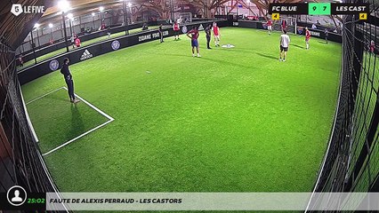 Faute de Alexis PERRAUD - LES CASTORS