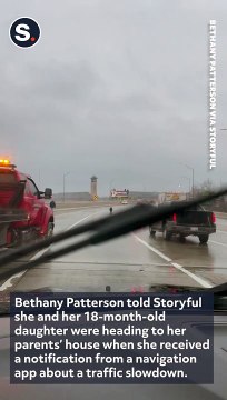 Cow Escapes Trailer, Charges Down Busy Michigan Highway