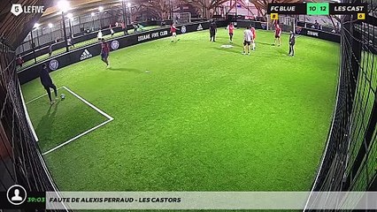 Faute de Alexis PERRAUD - LES CASTORS