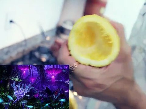 Sorvete De Maracujá Cremoso - Jacinttu - Sorvete Italiano